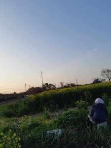 367c9cdd-eacf-4d0c-a402-27e88b3ebee5.jpg