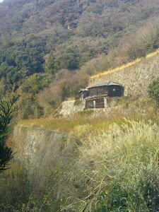 DSCF0107.JPG